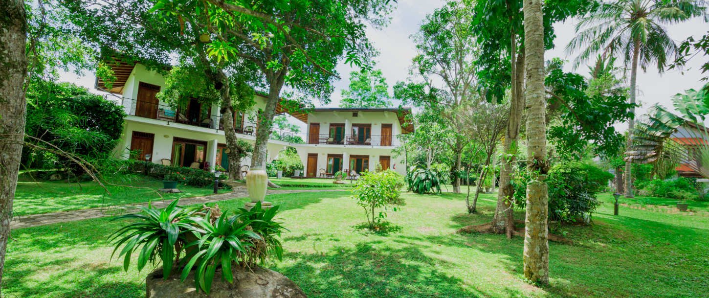 The green grass garden at ayuruveda Centrum lawrence hill paradise