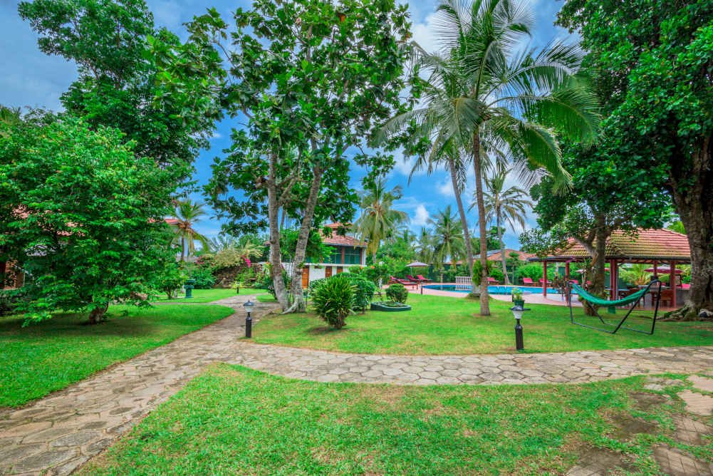 garden pathways and pool view bigger picture