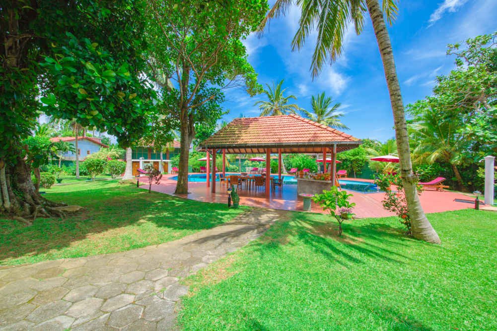 the pool side juice bar bigger picture