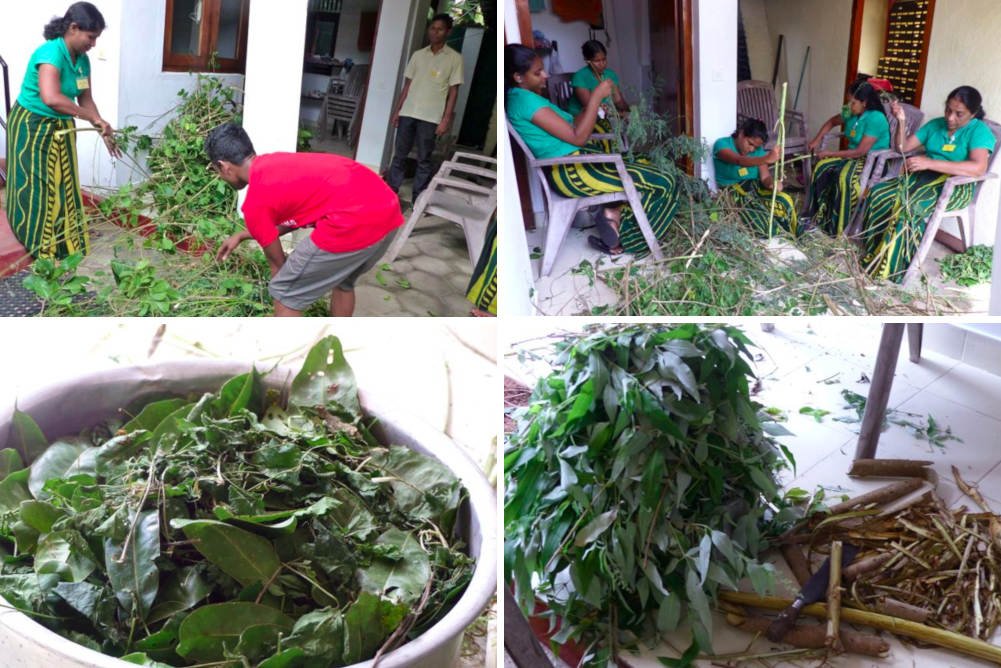 natural herbs being prepared bigger picture