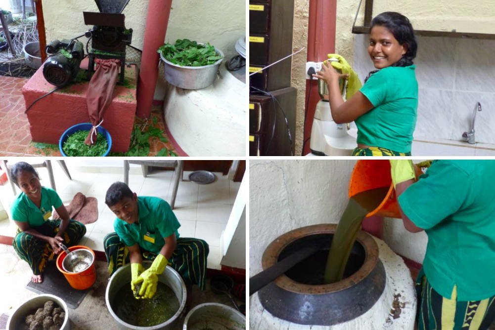 ayurvedic herbs being prepared in the kitchen bigger picture