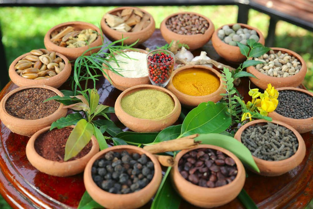 natural soruces of medicinal ingredients from plants bigger picture