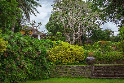 Brief garden image