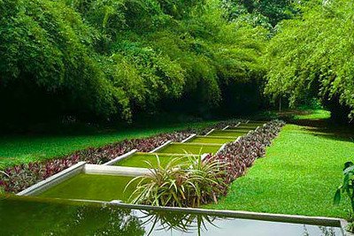 Brief garden image2