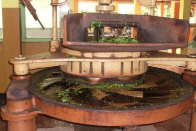 Southern tea estate and factory picture 1