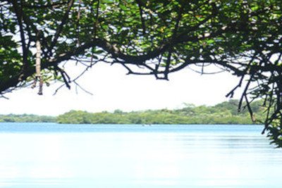 Madhu Ganga picture 3
